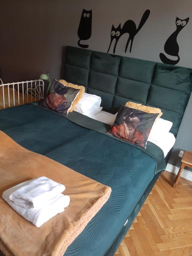 Apartament Koci Leb Stary Toruń Εξωτερικό φωτογραφία